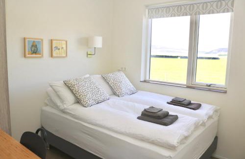 Hjardarfell Complejo | Miðhraun - Lava resort
