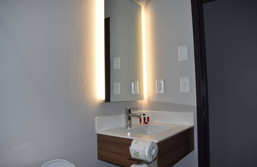 Stockbridge Hotel | Microtel Inn & Suites by Wyndham Stockbridge/Atlanta I-75