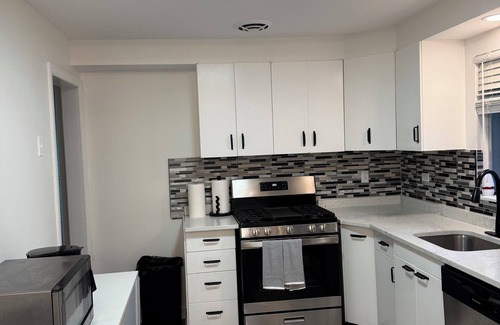 Highland Park Casa | Mid-century modern turned MODERN. Close to all the attractions that Chicago has.