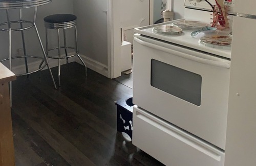 Chester Casa | Mid century modern home for rent in sought after Chester