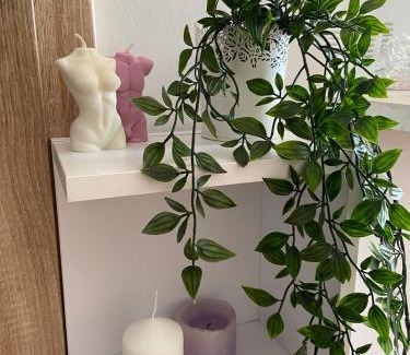 Bydgoszcz Apartamento | Mieszkanie na Grunwaldzkiej 98