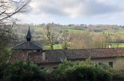 Castres Casa | Mille Fleurs