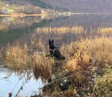 Sykkylven Apartamento | Minihus med drømmeutsikt til Sunnmørsalpene