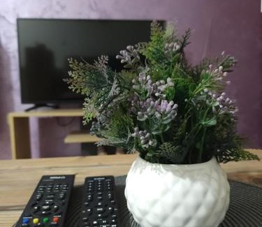 Sombor Apartamento | Mirna R&N