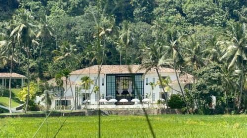 Unawatuna Hotel | Miss Ceylon