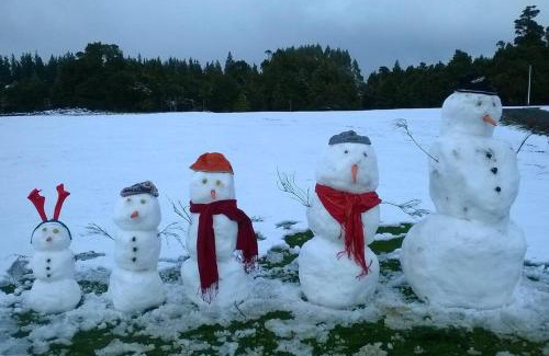 Horopito Casa | MJ's Retreat Stunning Ski Season Special for 2024