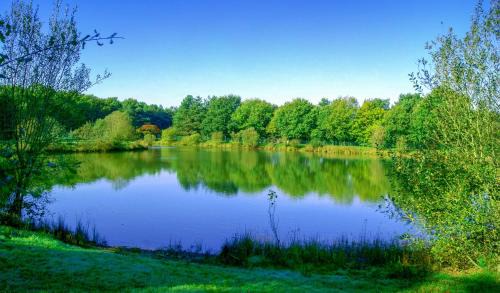 La Boissiere-de-Montaigu Otro | Mobil Home 4 pers proche Puy du Fou et Montaigu (Vendée 85)