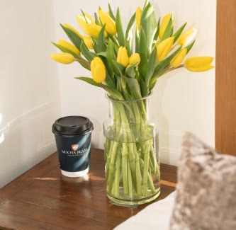 Roscoe Casa | Mocha Newcastle