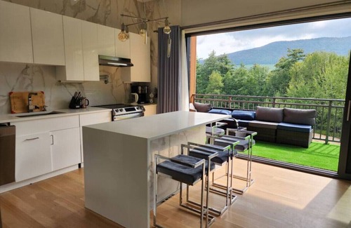 Stamford Casa | Modern Catskill House and Lake NY