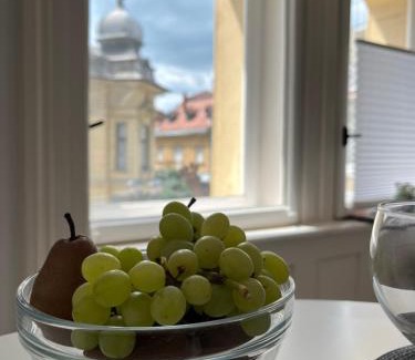 Gyor Apartamento | Modern stúdió a Belváros közepén parkolóval- Kata stúdióapartman