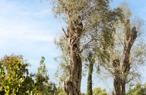 Castel San Pietro Terme Villa | Modern villa near Bologna