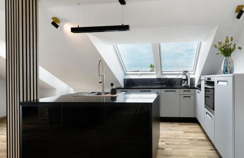 Rheinau Apartamento | Moderne offene Dachgeschoßwohnung