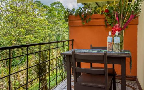 Aguas termales de Arenal Hotel | Montaña de fuego Mountain Resort & Spa