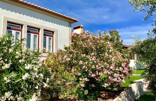 Pedrogao Casa | Monte das Oliveiras - Country House