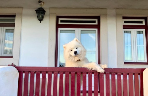 Pedrogao Casa | Monte das Oliveiras - Country House