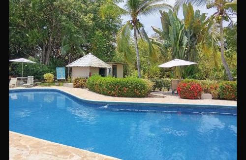 Damas Apartamento | Montello Quepos