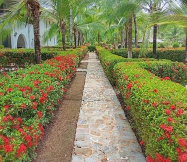 Damas Apartamento | Montello Quepos