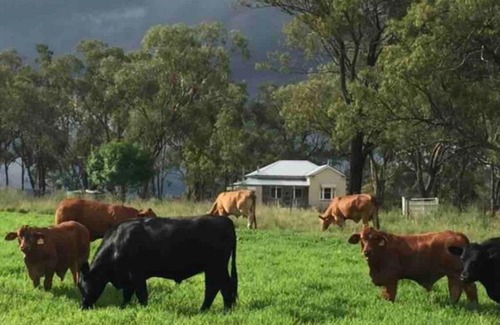 Forest Springs Casa | Montrose Farm Stay - Charming 2 bedroom cottage