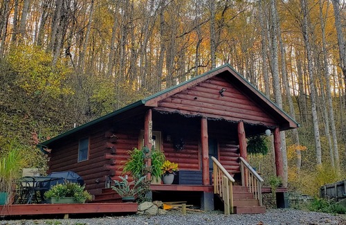 Sylva Cabina | Moonlight Ridge - a wonderful little log cabin on 4 wooded acres