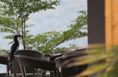 Arba Minch Hotel | Mora Heights Hotel