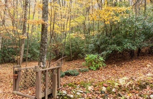 Blowing Rock Casa | Moss Haven Cabin - Peaceful Blowing Rock Getaway