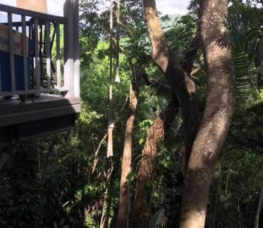 Mossman Cama Y Desayuno | Mossman Gorge Bed and Breakfast