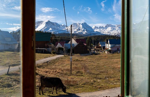 Zabljak Cabina | Mouintain View Cabin with Sauna in Žabljak