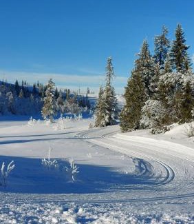Nord-Aurdal Casa | Mountain cabin in Aurdal Fireplace Sauna 1000 meters above sea level