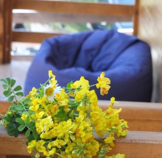Bagvdanari Hotel | Mountain Cabins
