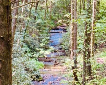 Blue Ridge Chalet De Esquí | Mountain Ridge Retreat Cozy Blue Ridge Cabin with Hot Tub