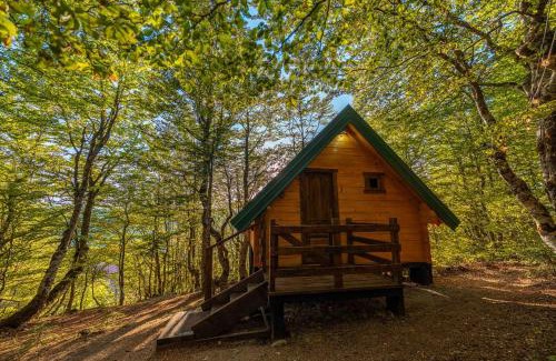 Montenegro Cabina | Mountain Tree House Komovi-Radunovic
