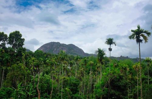 Meenangadi Complejo | Mountain Vibes Wayanad Pool Villa and Spa