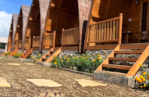 Bedugul Cabina | MR GLAMPING & VILLA