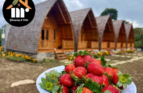 Bedugul Cabina | MR GLAMPING & VILLA