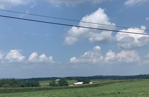 Manheim Hotel | Mt. Vernon Motel