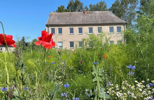 Zettemin Apartamento | "MTS Haus - Zettemin" Family-friendly vacation apartments in Mecklenburg