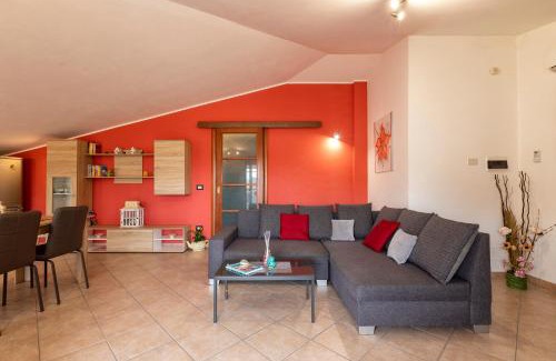 Pivarada Casa | My Baby House