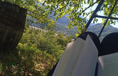 Tsageri Cama Y Desayuno | NaBaDa