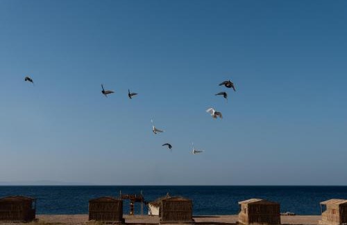 Sinai Peninsula Cabina | Natural Lodge