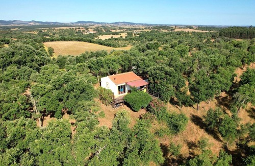 Cercal Cabaña | Naturaleza del bienestar