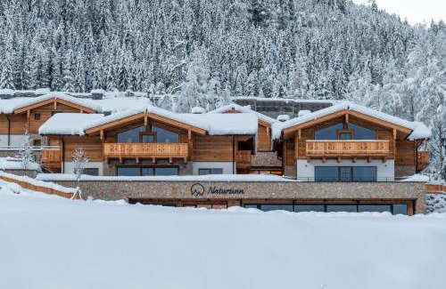 Flachau Apartamento | Natursinn Mountainchalets
