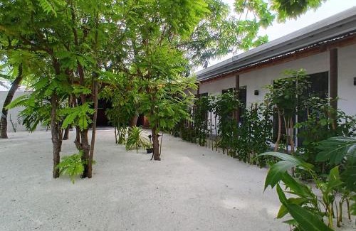 Dhiffushi Hotel | Navaya Dhiffushi