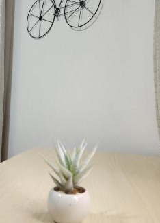 Flic-en-Flac Apartamento | Nayuha Beach New Penthouse B3