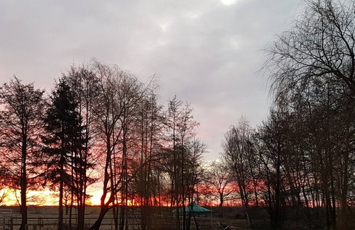 Schashagen Casa | Near Grömitz - romantic house - quiet location - 2 terraces - high level of privacy