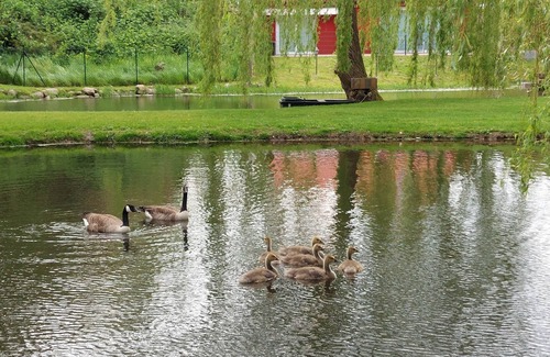 Schashagen Casa | Near Grömitz - romantic house - quiet location - 2 terraces - high level of privacy