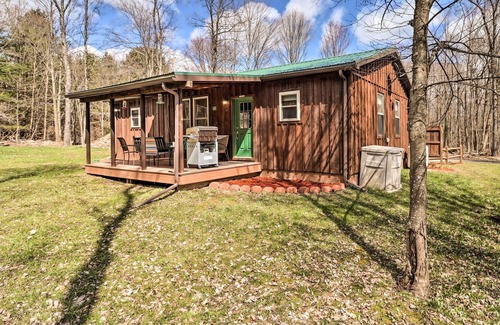 Granville Summit Cabina | Forksville Mountain Lodge Retreat w/ Porch!