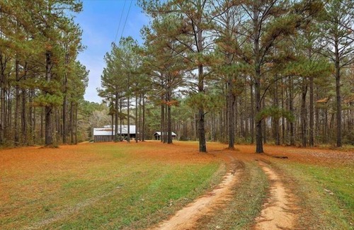 Crystal Springs Cabina | *New Listing Limited Time Price Special* Log Cabin retreat on 40 acres of pine forest