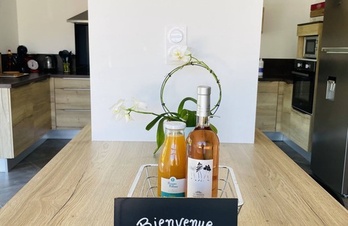 Morieres-les-Avignon Otro | NEW! MAS WITH PRIVATE SWIMMING POOL Classified 4**** by Gîtes de France