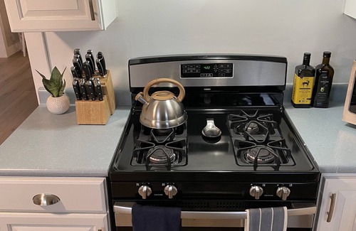 Oak Harbor Cabaña | New: Romantic Winter Getaway w/Igloo