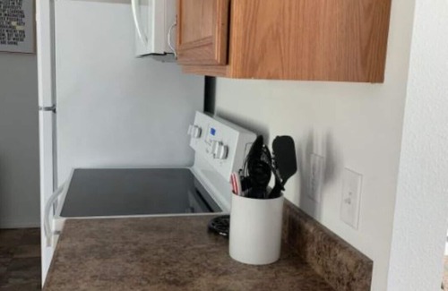 Quad Cities Casa | Newly Renovated, Beautiful Three-Level Townhome